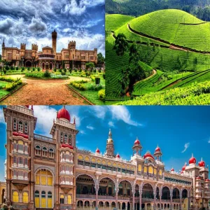 Mysore - Ooty- Coorg