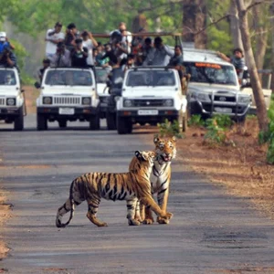 Nainital-Jim Corbett