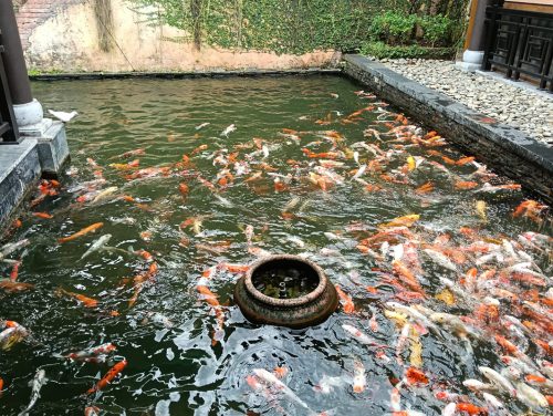 WhatsApp-Image-2024-09-23-at-09.29.04 028dc3a0