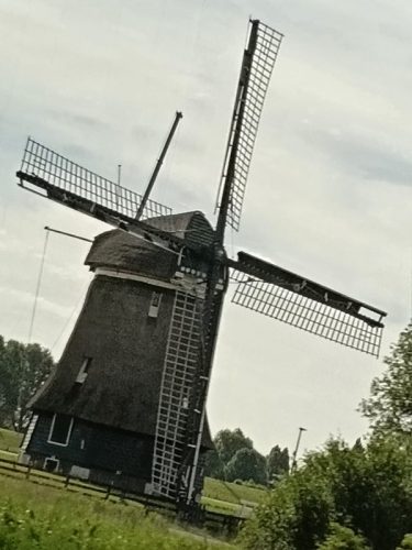 WhatsApp-Image-2025-07-18-at-10.32.11-PM