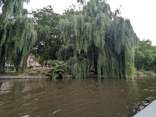 WhatsApp-Image-2025-07-19-at-9.24.38-AM-3