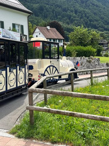 WhatsApp-Image-2025-07-27-at-10.29.42-AM-7