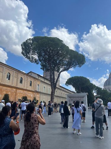 WhatsApp-Image-2025-07-27-at-11.50.28-AM