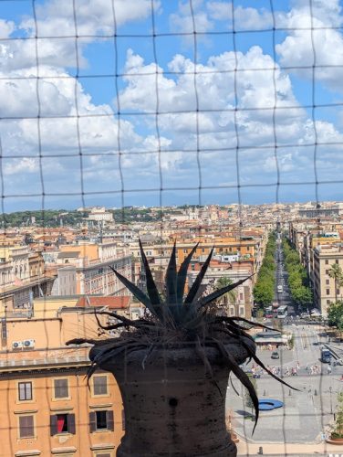 WhatsApp-Image-2025-07-27-at-3.04.26-AM-1