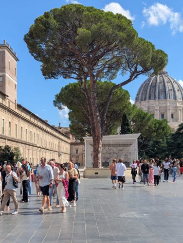 WhatsApp-Image-2025-07-27-at-3.04.27-AM-2